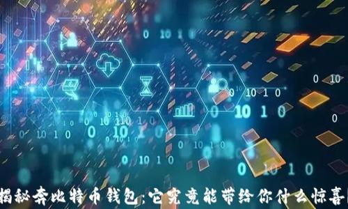 
揭秘奔比特币钱包：它究竟能带给你什么惊喜？