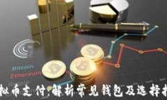虚拟币支付：解析常见钱包及选择指南