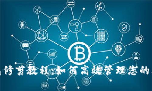 比特币钱包修剪教程：如何高效管理您的比特币存储