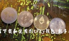 如何下载和使用BitPay钱包：新手指南