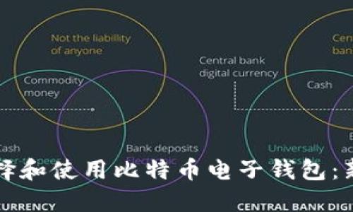 如何选择和使用比特币电子钱包：新手指南