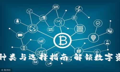 区块链钱包的种类与选择指南：解锁数字资产的安全之道