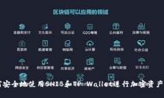 如何安全地使用SHIB和TP Wallet进行加密资产交易