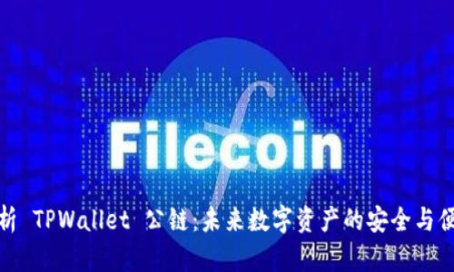 全面解析 TPWallet 公链：未来数字资产的安全与便捷之路