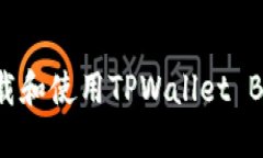 如何安全下载和使用TPWallet BSC：终极指南