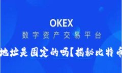 比特币钱包地址是固定的吗？揭秘比特币地址的