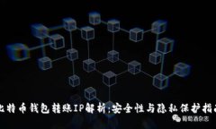 比特币钱包转账IP解析：安全性与隐私保护指南
