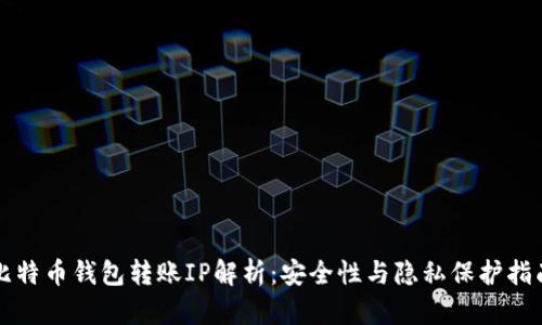 比特币钱包转账IP解析：安全性与隐私保护指南