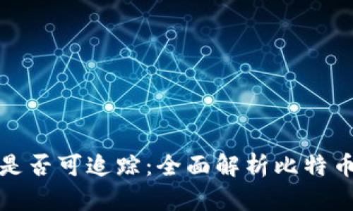 比特币钱包转账是否可追踪：全面解析比特币的隐私与透明性